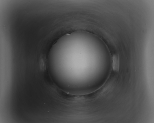 X0000101481491200807071453