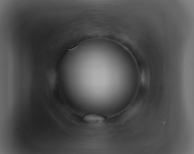 X0000101481492200807071453