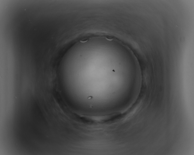 X0000101481494200807071453