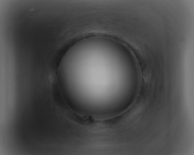 X0000101481495200807071453