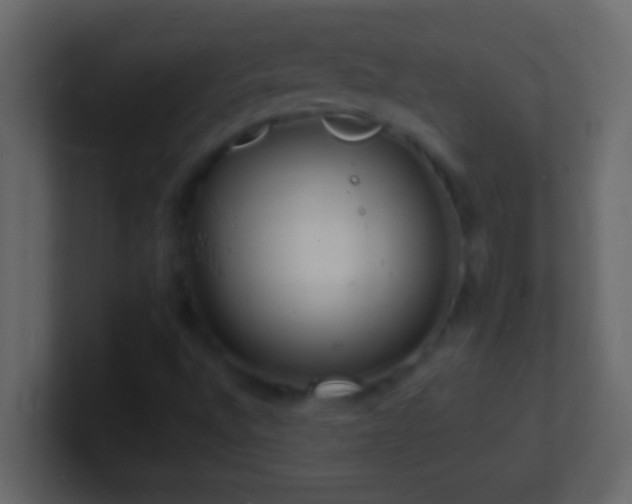 X0000101481496200807071453