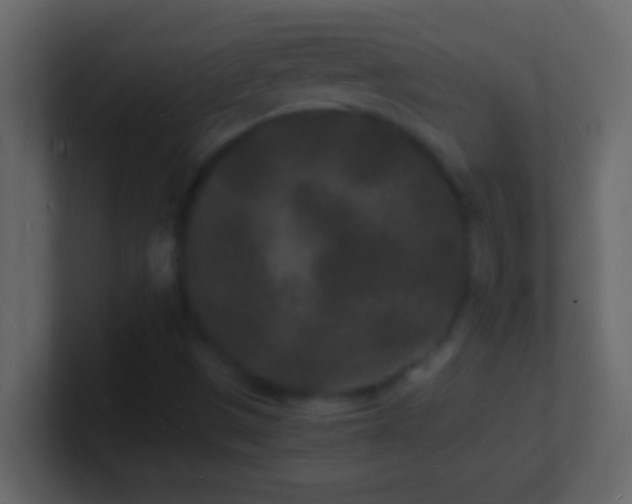 X0000101481497200807071453