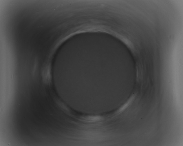 X0000101481498200807071453