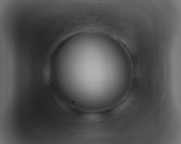 X0000101481499200807071453