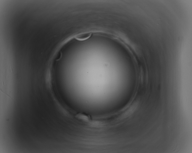 X0000101481500200807071453