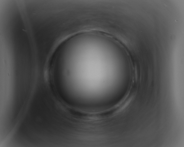 X0000101481501200807071453
