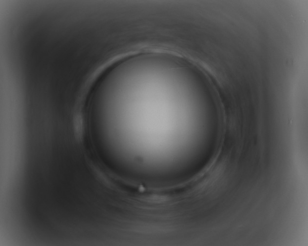 X0000101481503200807071453