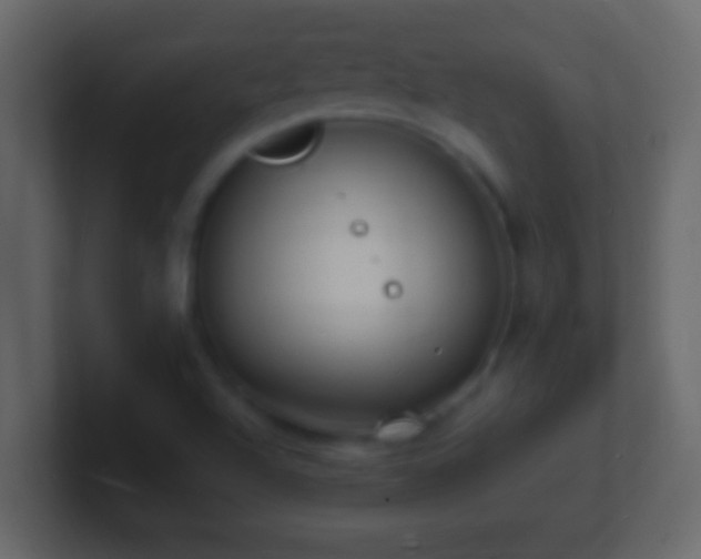 X0000101481504200807071453