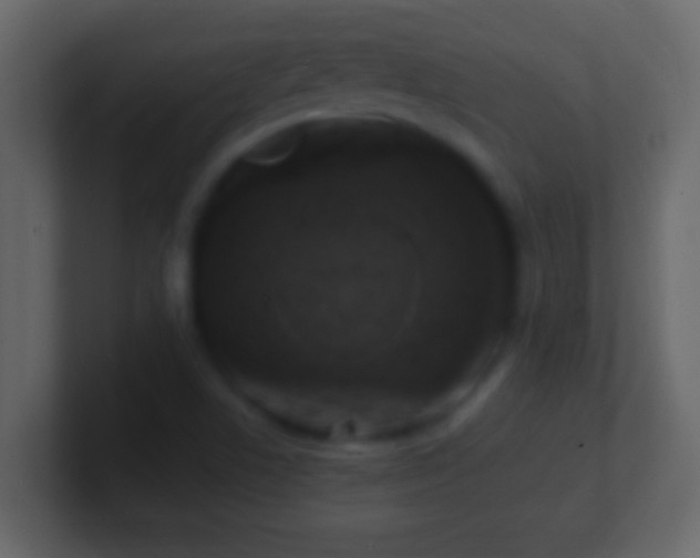 X0000101481506200807071453