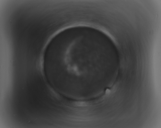 X0000101481508200807071453