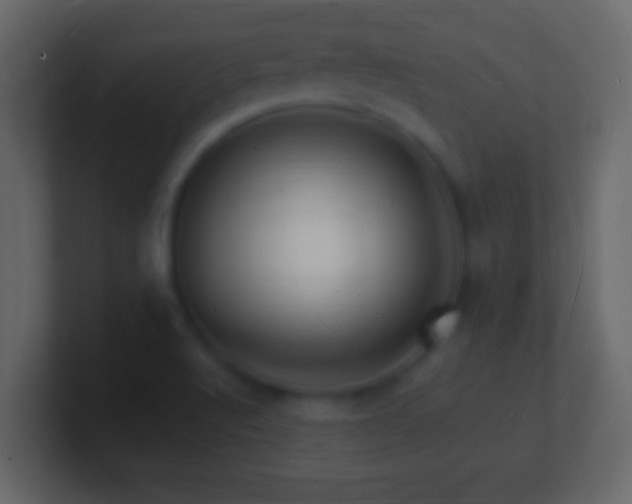 X0000101481512200807071453