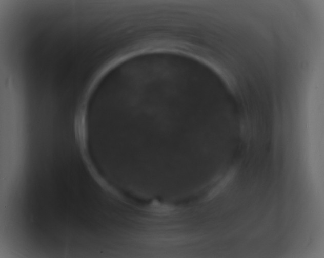 X0000101481515200807071453