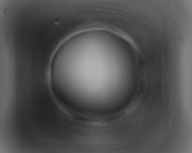 X0000101481516200807071453