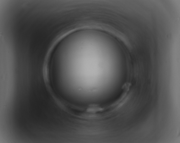 X0000101481517200807071453