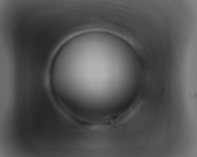 X0000101481518200807071453