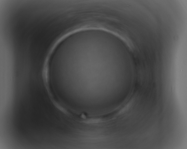 X0000101481519200807071453