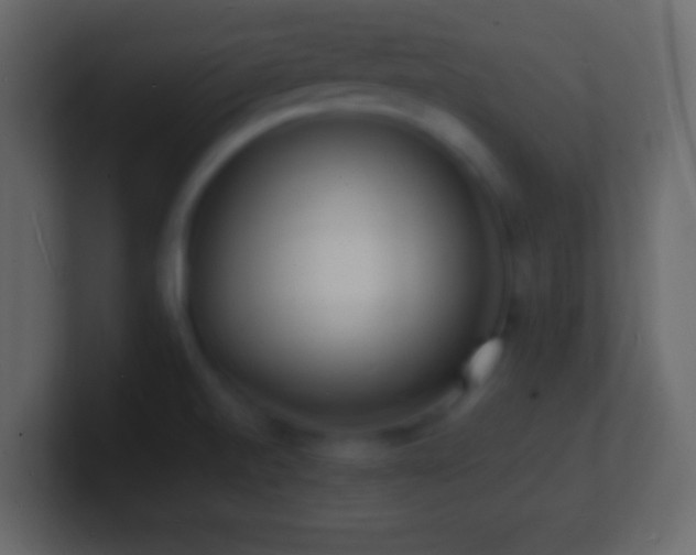 X0000101481520200807071453
