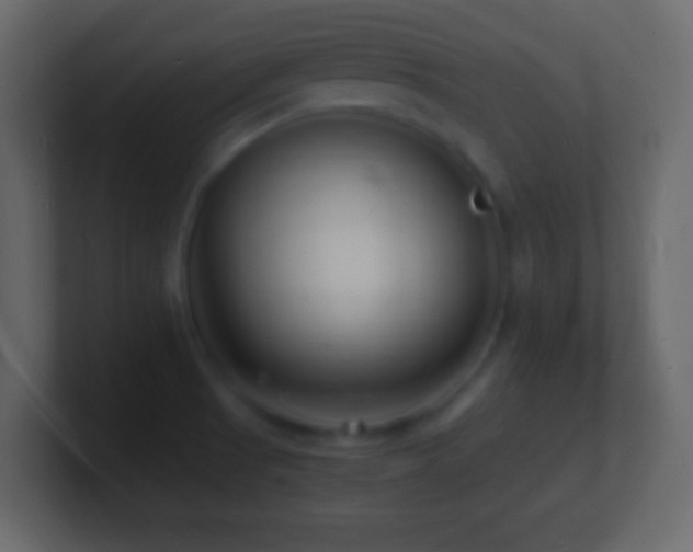 X0000101481521200807071453