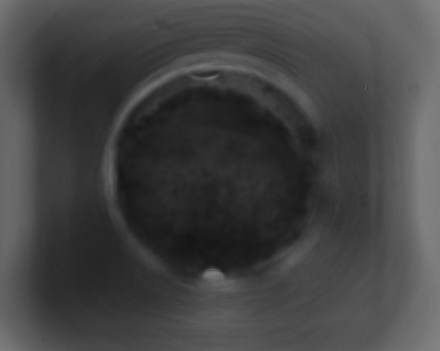 X0000101481522200807071453