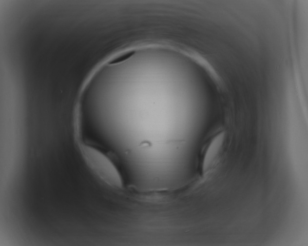 X0000101481524200807071453