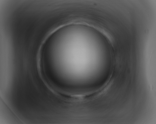 X0000101481525200807071453