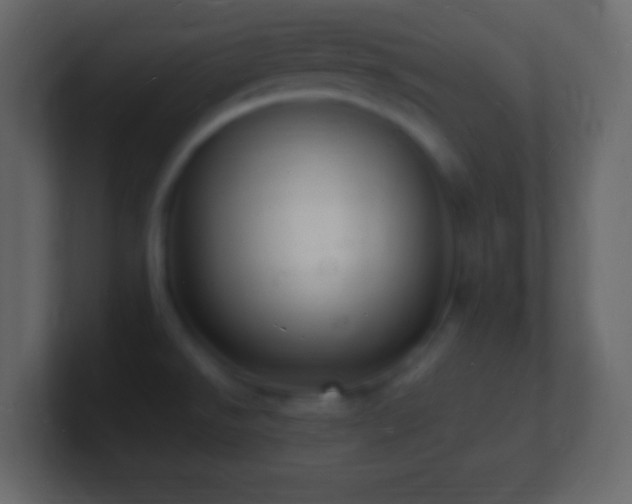 X0000101481526200807071453