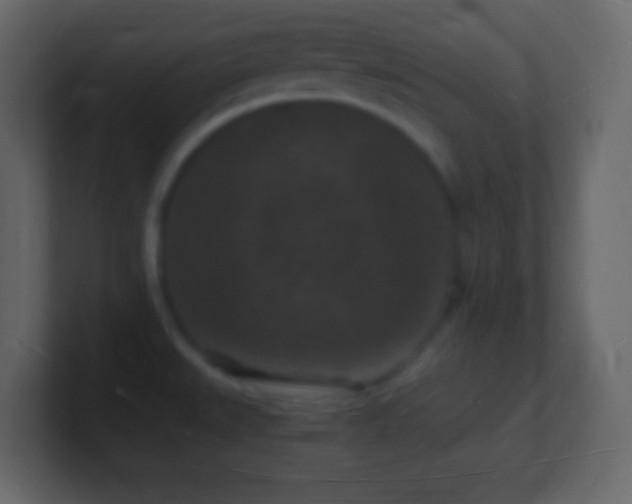 X0000101481527200807071453