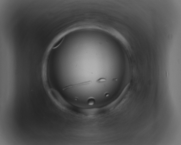 X0000101481528200807071453