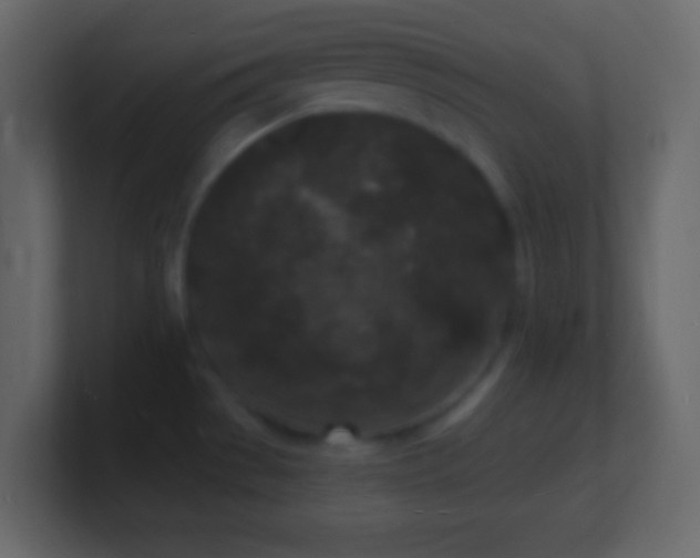 X0000101481529200807071453