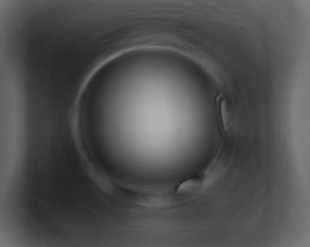 X0000101481530200807071453