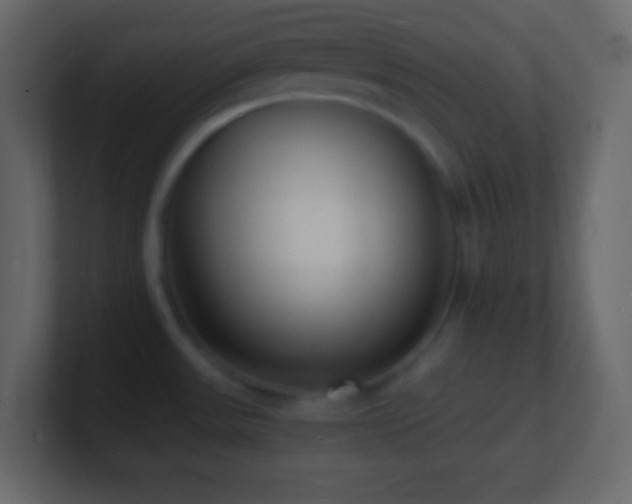 X0000101481531200807071453
