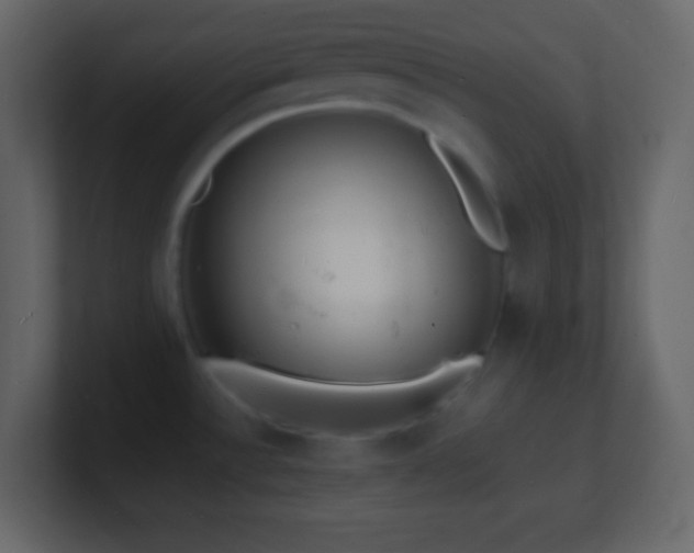 X0000101481532200807071453