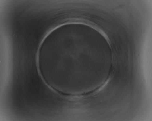 X0000101481533200807071453