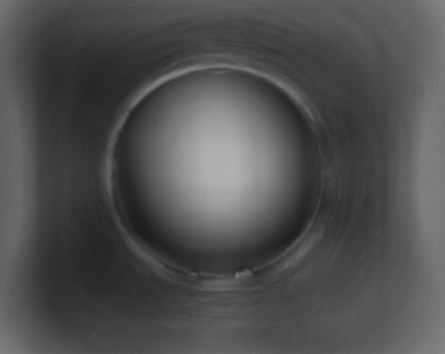 X0000101481535200807071453