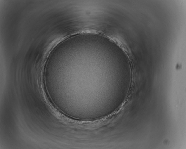 X0000101480001200807141426