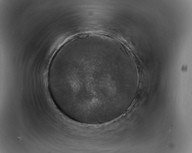 X0000101480002200807141426