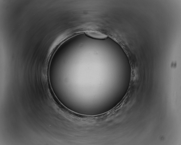 X0000101480004200807141426