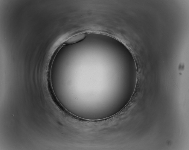 X0000101480007200807141426