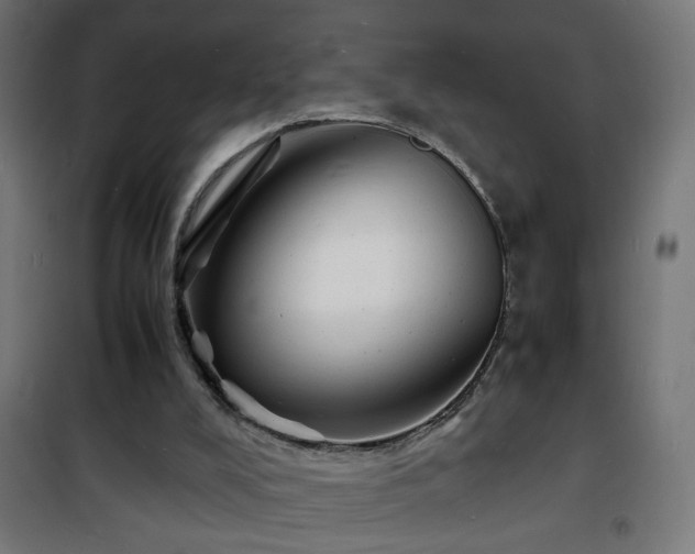 X0000101480008200807141426