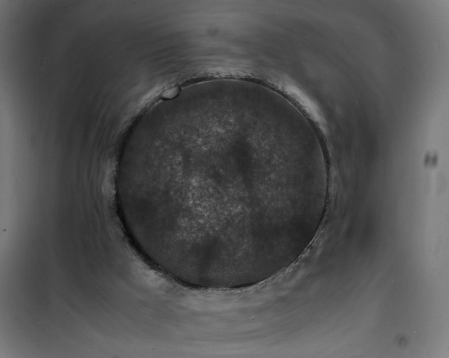 X0000101480009200807141426