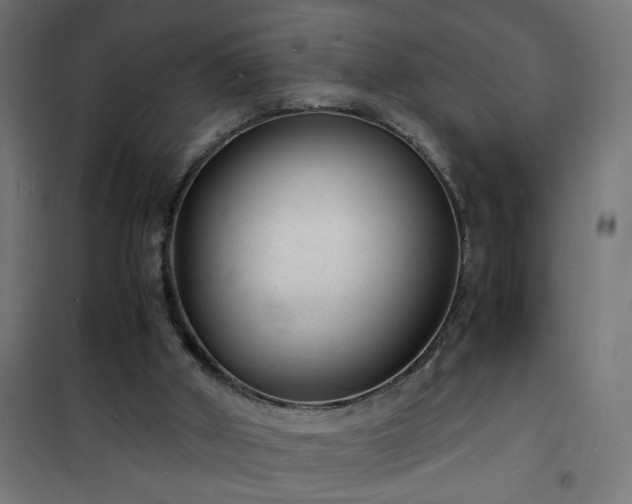 X0000101480010200807141426