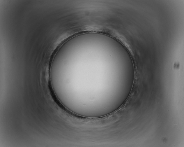 X0000101480011200807141426