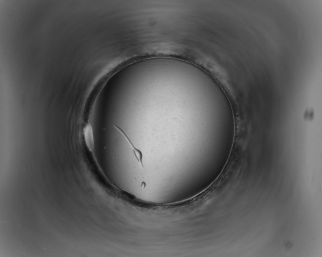 X0000101480012200807141426