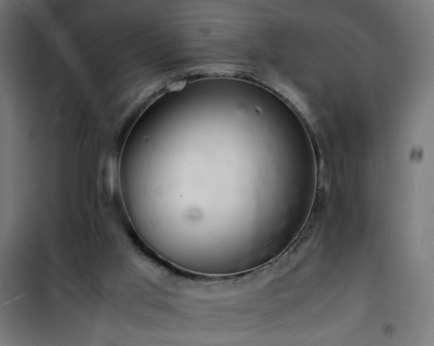 X0000101480013200807141426