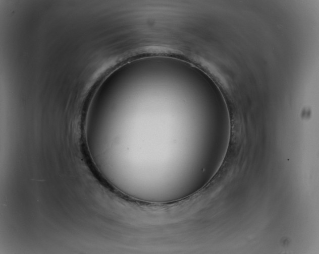 X0000101480015200807141426