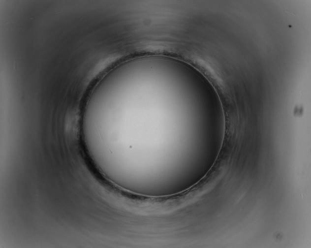 X0000101480016200807141426