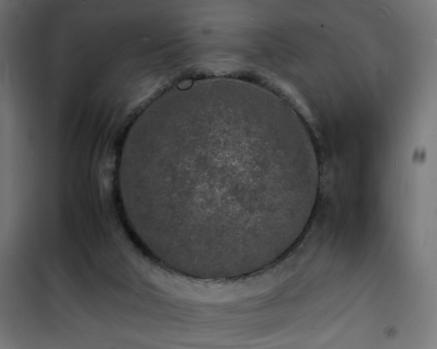 X0000101480018200807141426