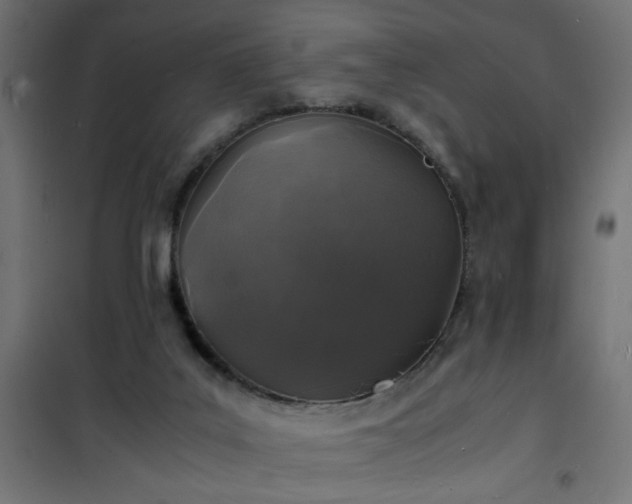 X0000101480019200807141426