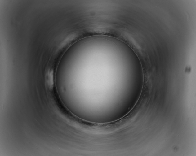 X0000101480020200807141426