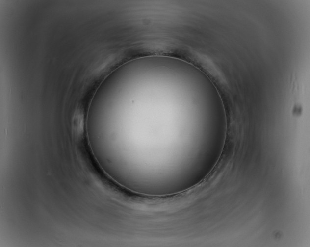 X0000101480021200807141426